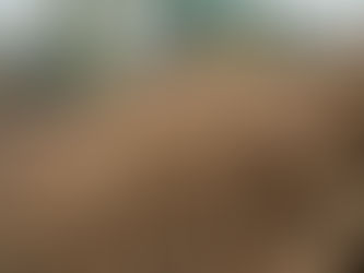 Descobreix com la nostra planta de gestió de residus de fusta a Catalunya ajuda al medi ambient