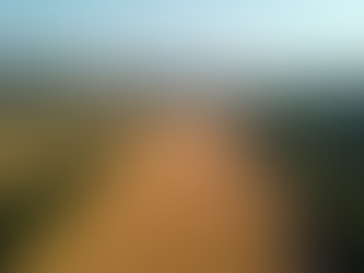 Descubre cómo nuestra planta de gestión de residuos de madera en Cataluña ayuda al medio ambiente