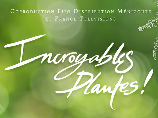 Retrouvez les DVD de mes films