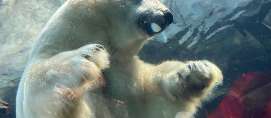 Regina to Winnipeg 😁