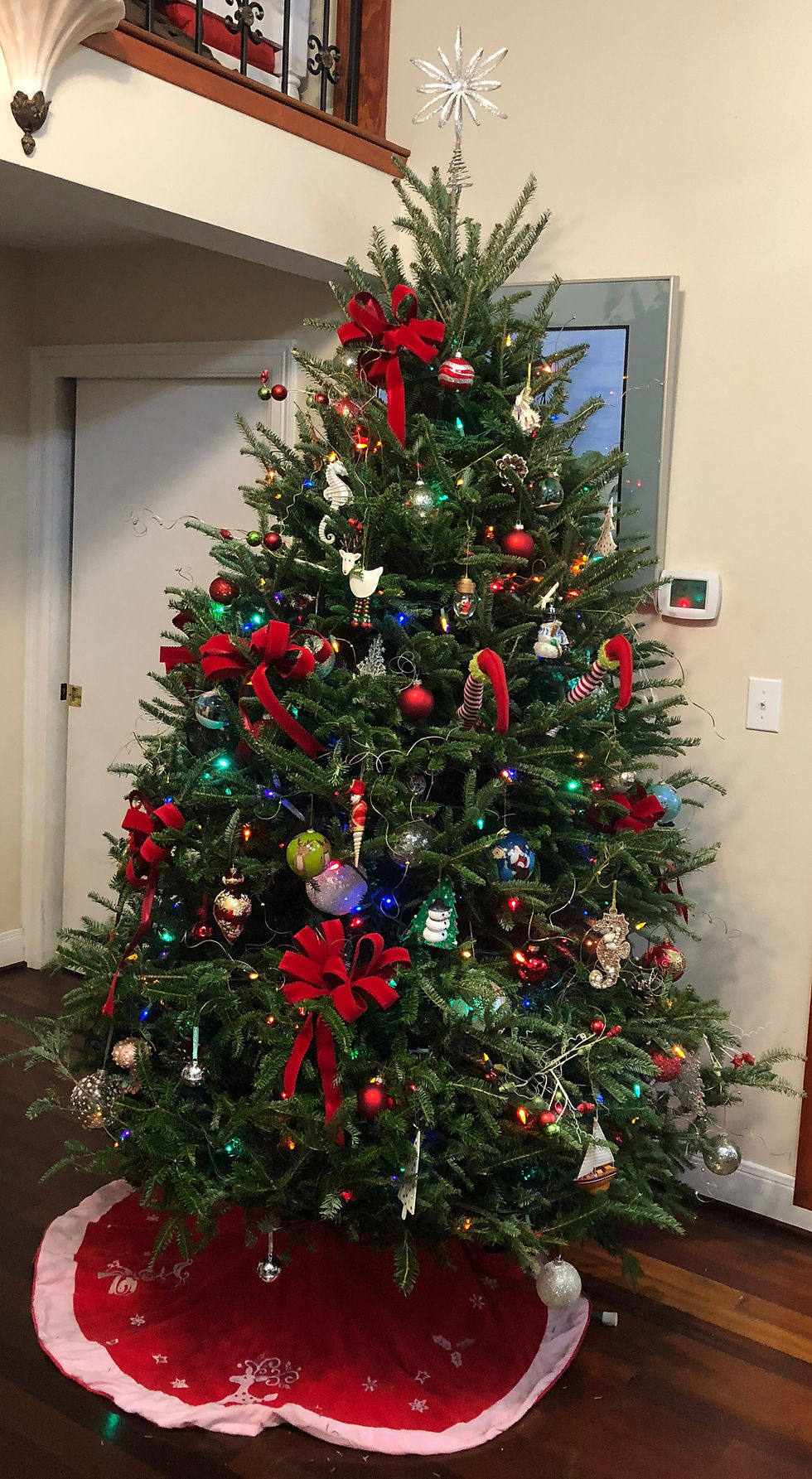 Live Christmas Tree Guide: 10 Easy Steps to Choose and Care for the Perfect Tree