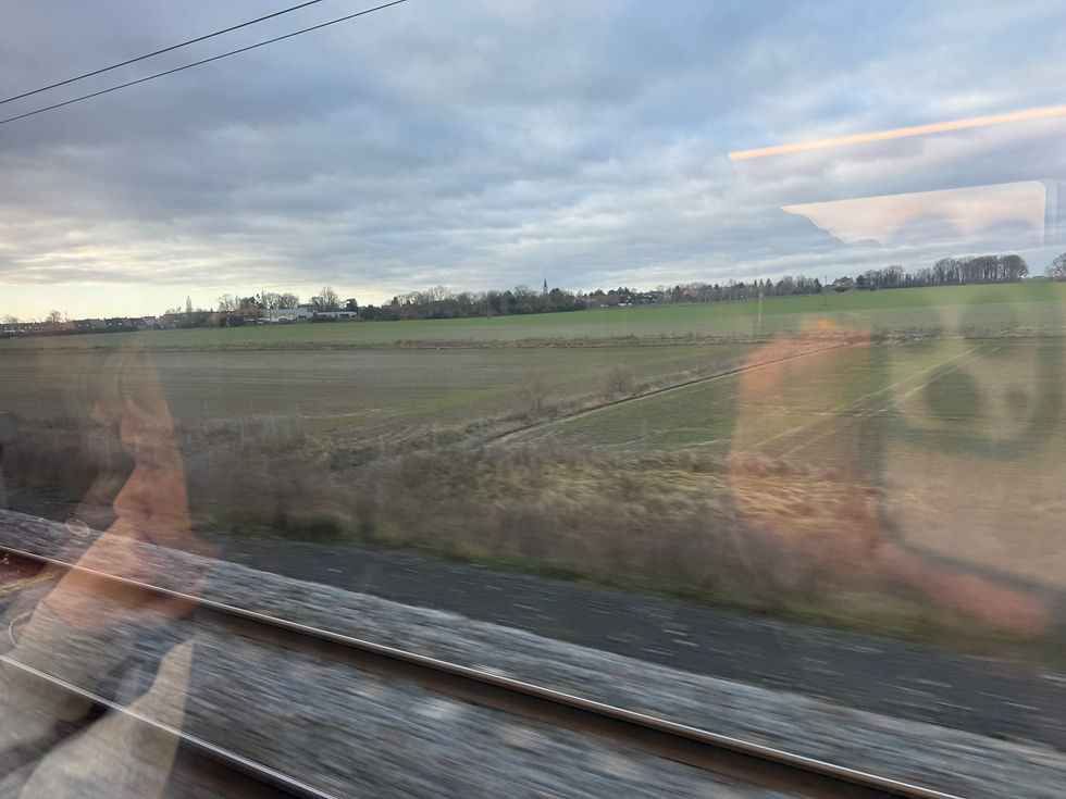 Reflection of a person on a train window with a view of vast green fields and cloudy sky outside, creating a serene and contemplative mood.