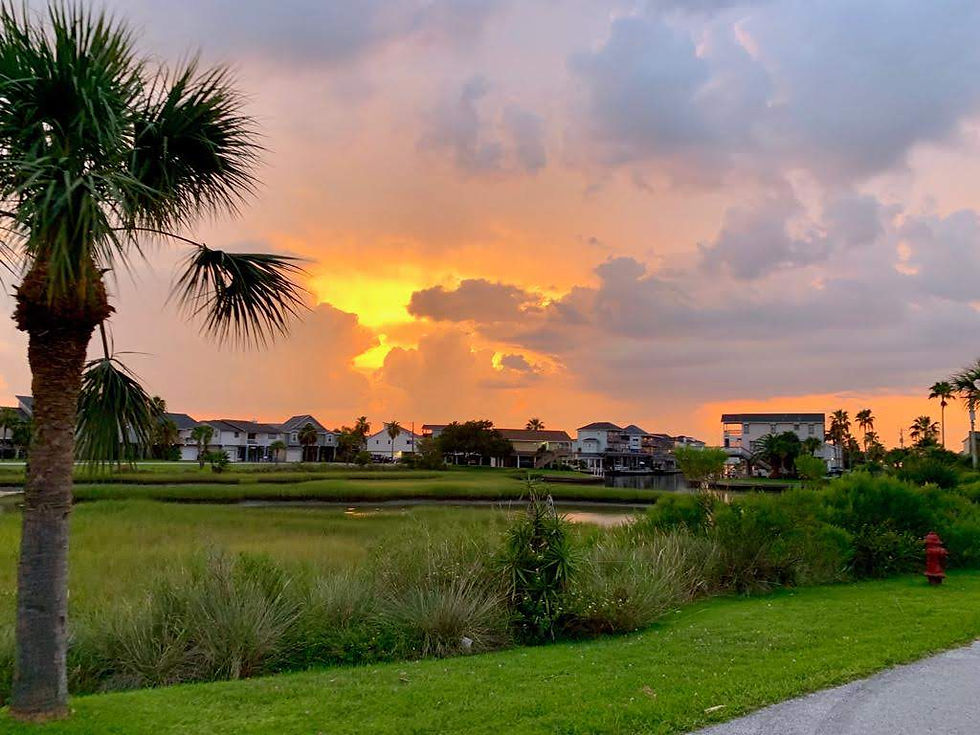 Sunset over suburban homes with palm trees and lush greenery. The sky is orange and cloudy, casting a serene, warm glow over the scene.