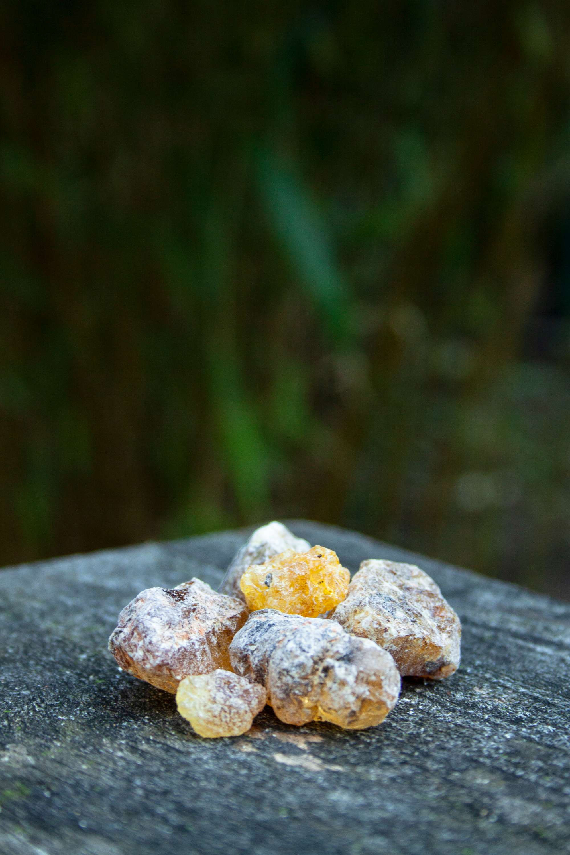 10 g Somalia - Honigweihrauch