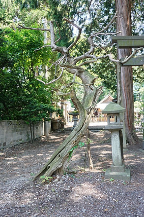 Arei Jinja 阿禮神社 Nagano-ken, Shiojiri