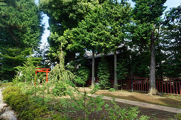 Higashitamagawa Jinja 東玉川神社