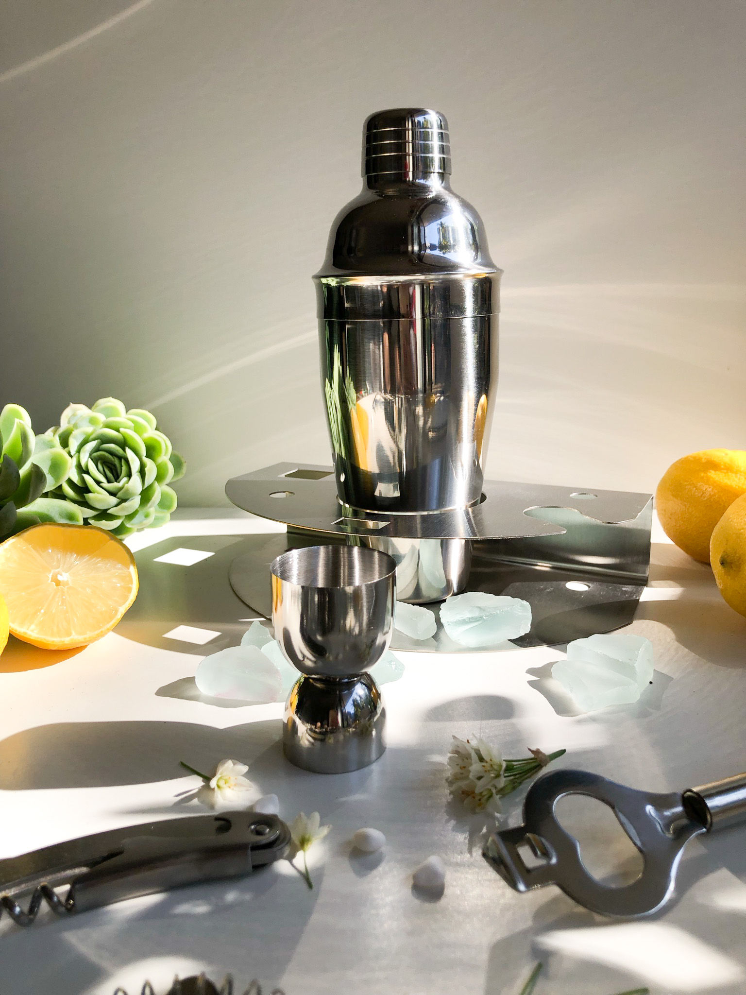 Sustainable Stainless Steel Cocktail Set