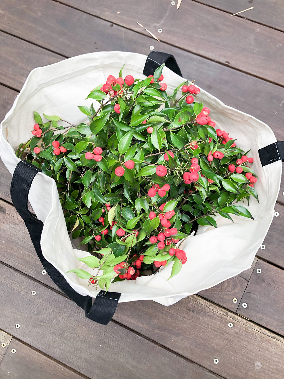 Thumbnail: Eco Cotton Shopper Bundles (XL Tote + 4 XL Produce Bags)