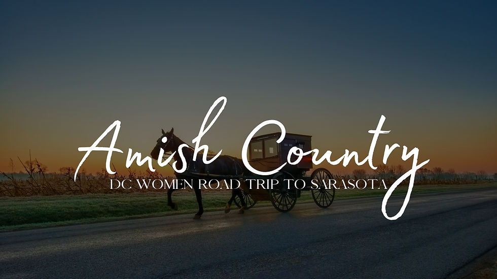 DC Women's Road Trip to Amish Country