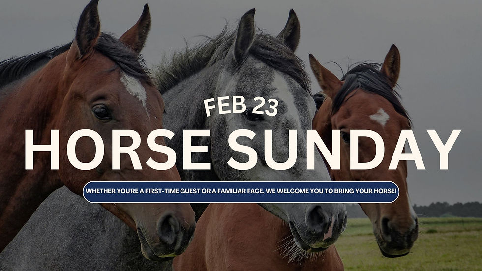 Horse Sunday