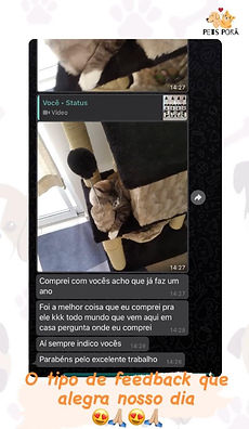 WhatsApp Image 2021-06-23 at 19.38.51 (1