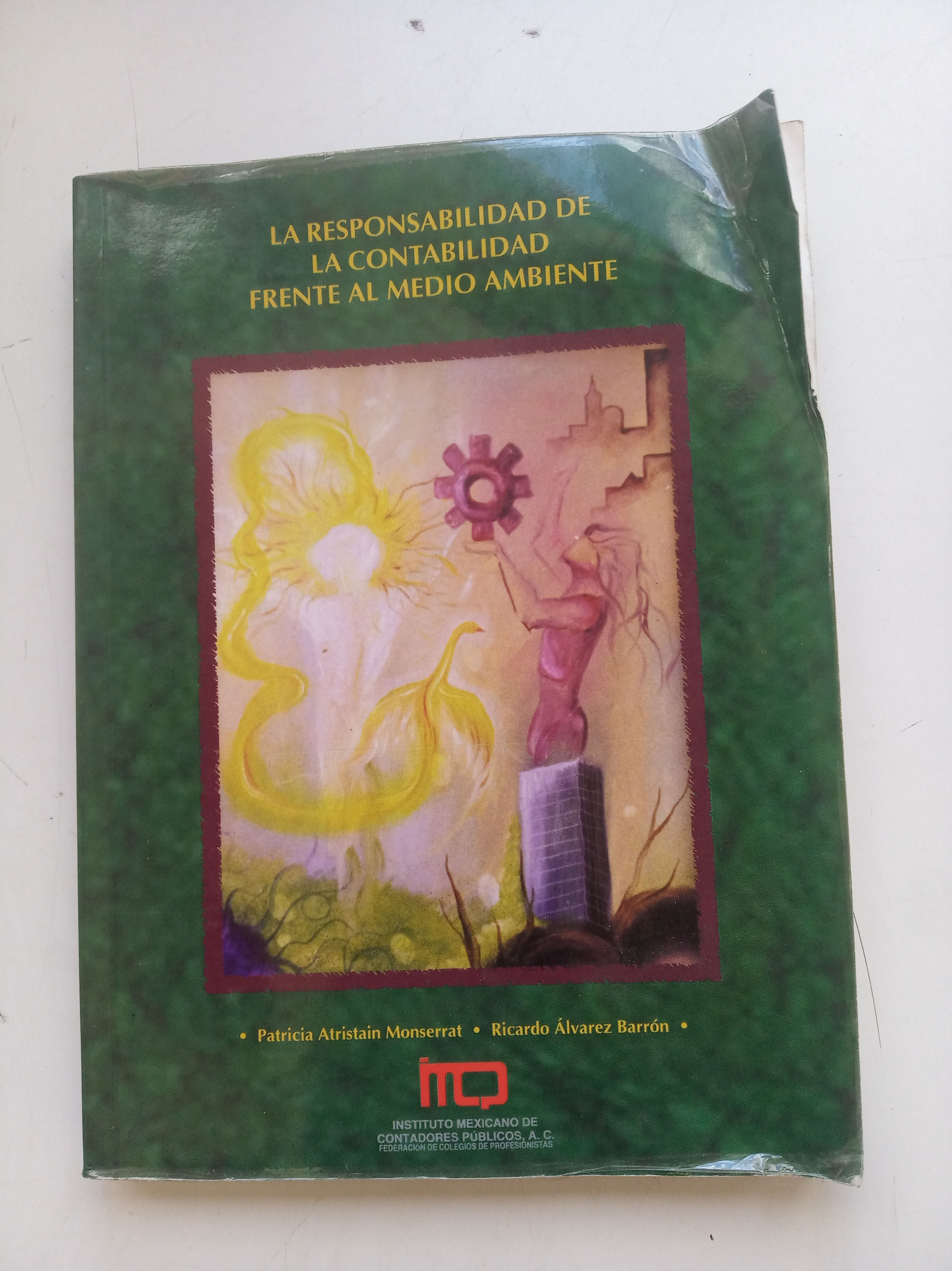 La responsabilidad de la contabilidad frente al medio ambiente