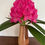 Thumbnail: Waterproof Flower Vase
