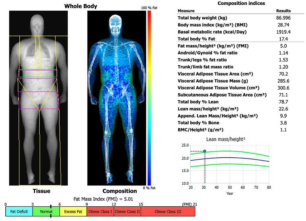 Close-up view of a detailed DEXA scan report showing body composition metrics