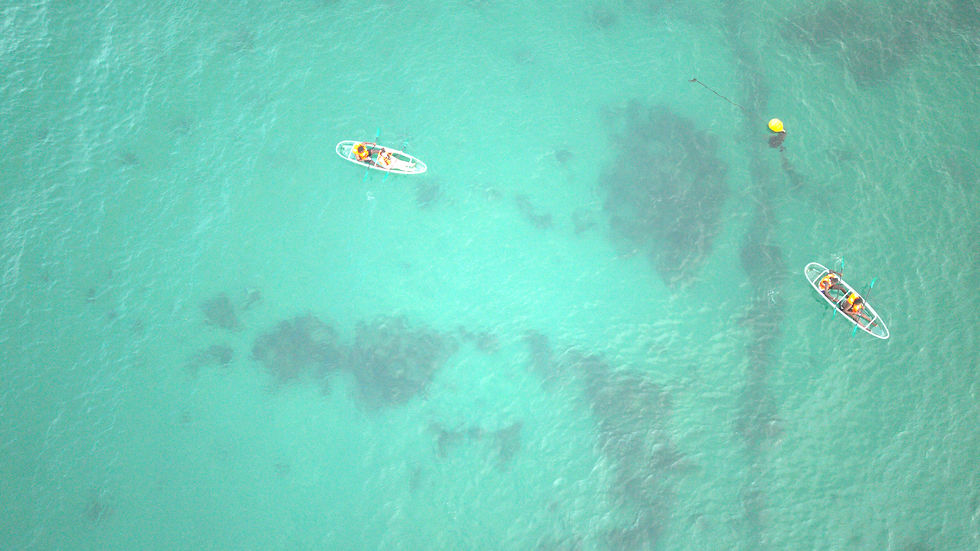 NGOR BLUE SAFARI.DNG