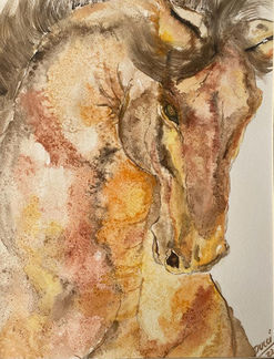 Caballo