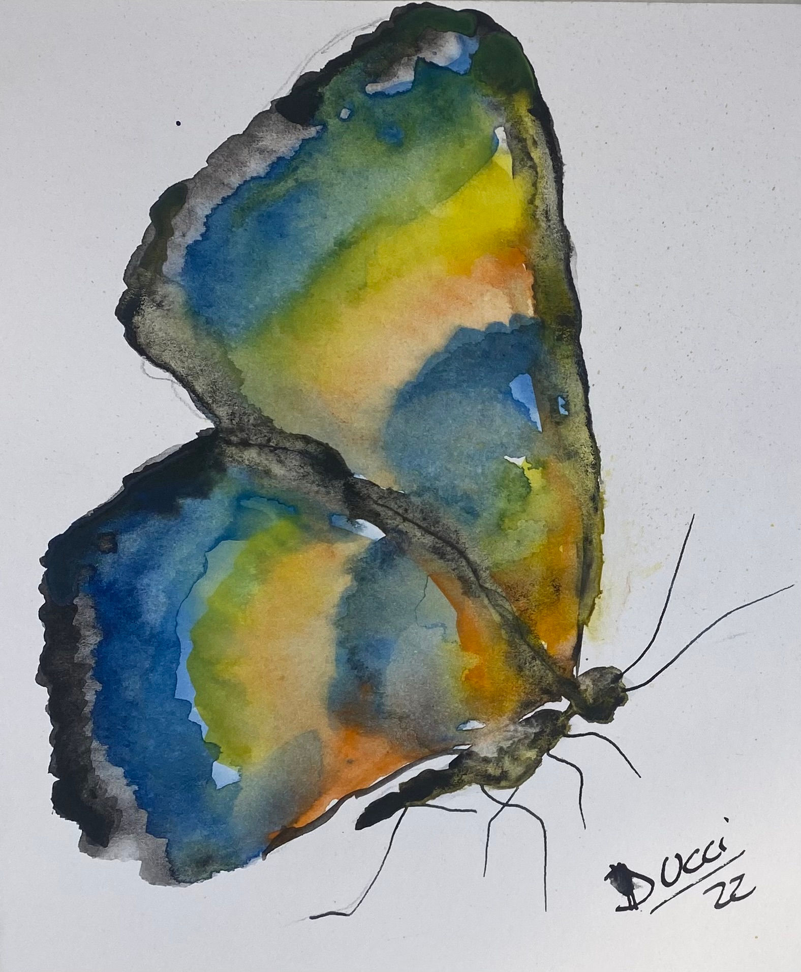 Mariposa 1