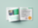 Almi_mockup_2.png