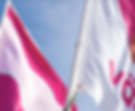 Shoppingcenters_flags.png