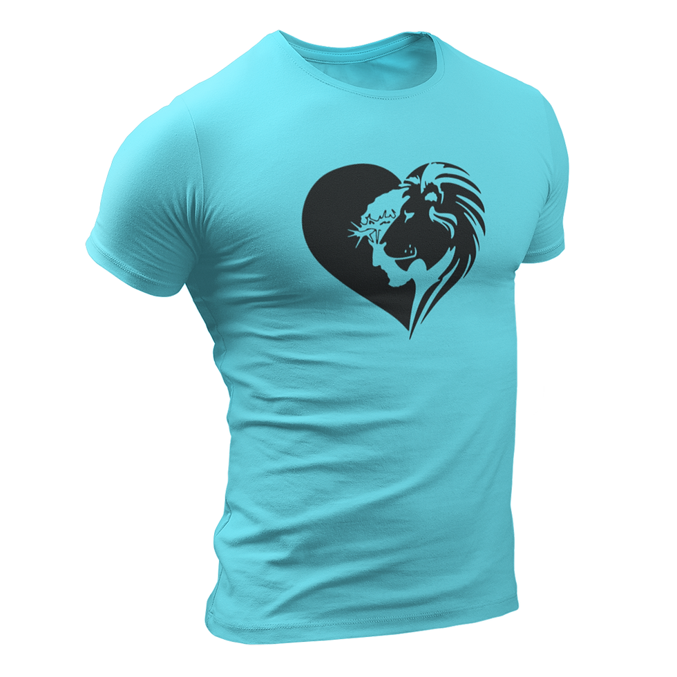 100% Cotton Sky Blue Crew Neck T-Shirt (MRN24-18)