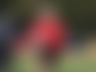 Faf de Klerk to start on return for relegation-threatened Yokohama