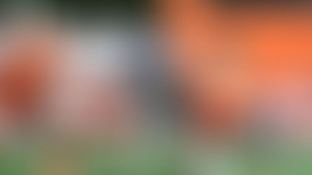 Wales and Tonga coy on Toshiba flanker Frizell’s return to New Zealand