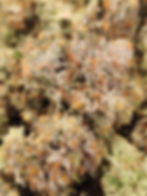 Anslinger's Demise(90/10Indica)