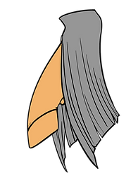 Traits_Feets.png