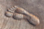 AdobeStock_30671251.jpeg