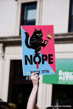 A sign with a cat kicking a crown that says "Nope, since 1776."