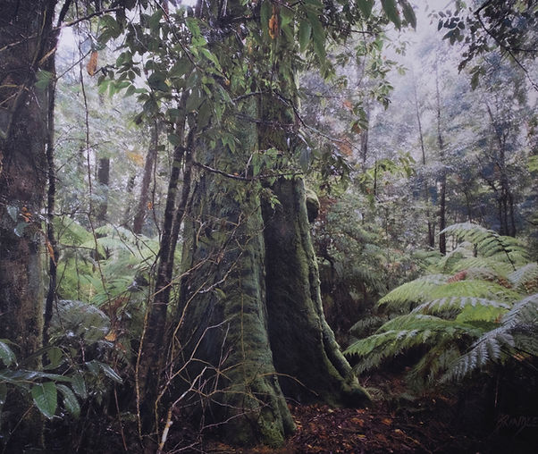 Gondwana-Barrington Tops National Park-A
