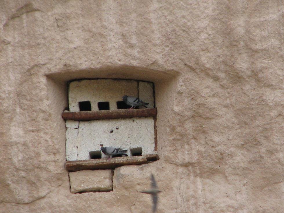 cappadocia sobek (12)