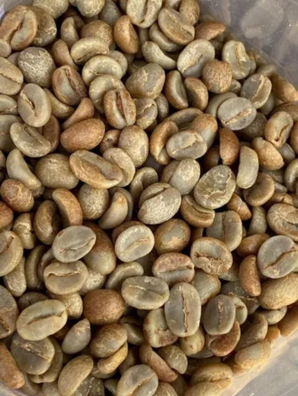 Café Verde Honey 35Kg
