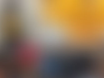 MP Vikki Slade holds public meeting in Shapwick