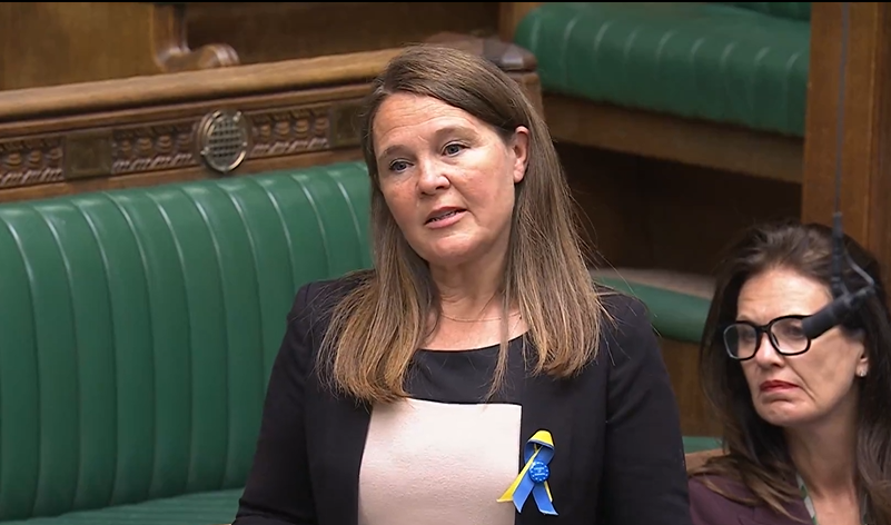I called for the urgent release of the Defence Investment Plan