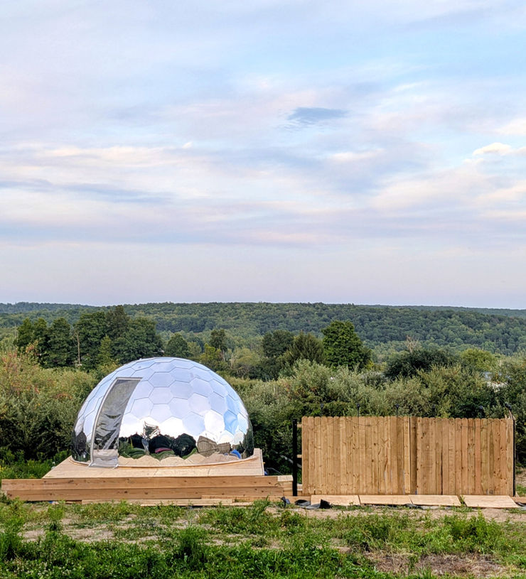 A stunning reflective dome blending into a vibrant green forest at dusk.