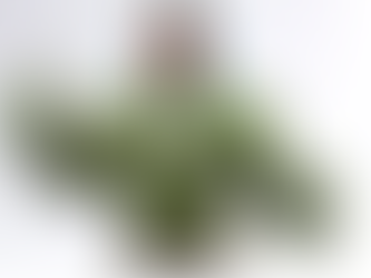 Round 15 Collier Park - Stroke Monthly Medal