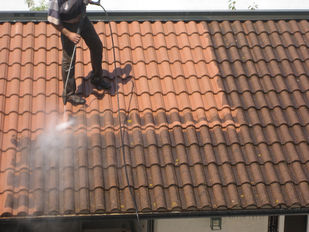 nettoyage traitement-comment-nettoyer-sa-toiture-en-tuile-3.jpg