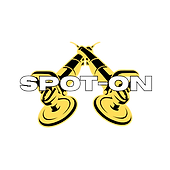 Spot-On Detailing Logo