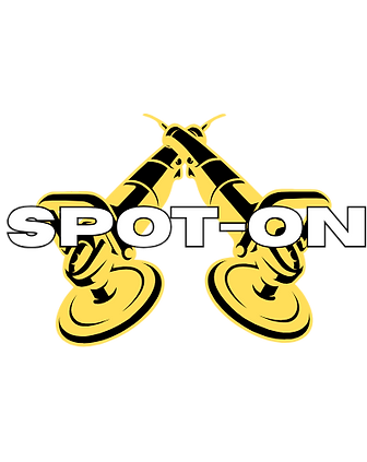 Spot-On Detailing Logo