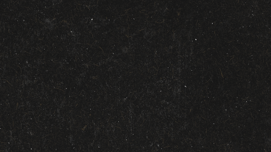Youth Header.png