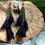 Thumbnail: Three Dangle Fabric Tassel Earrings