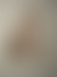 Колокольня Святогорской лавры