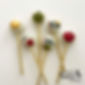 Teacher_thank_you_gift_cake_pops_2.jpg