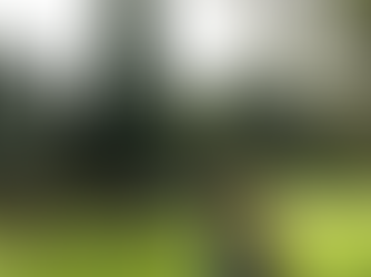 Country Chic: Doğallığın ve Şıklığın Birleşimi