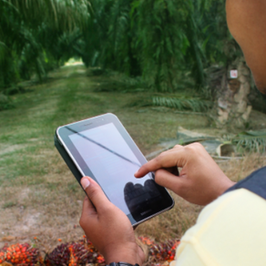 Passion, Pride, Proactivity: The Power Trio Reshaping Palm Oil Industry