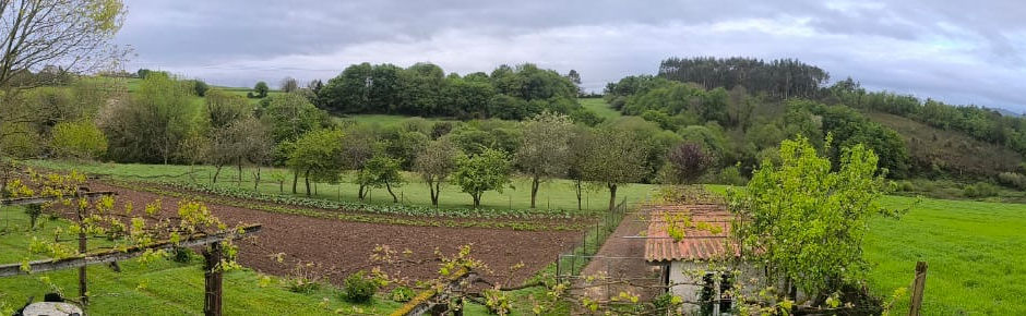 Sobre el  Camino de Santiago