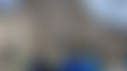 O Pedrouzo a Santiago Compostela