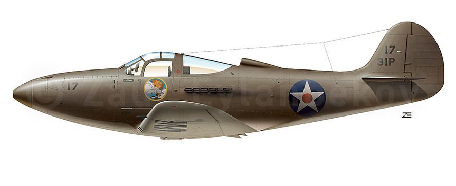 P-39_Preview.png