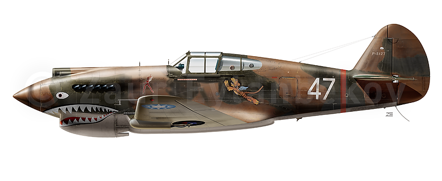 P-40_Preview.png